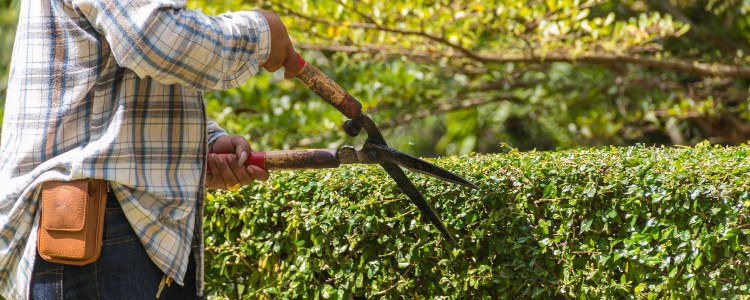 spring maintenance
