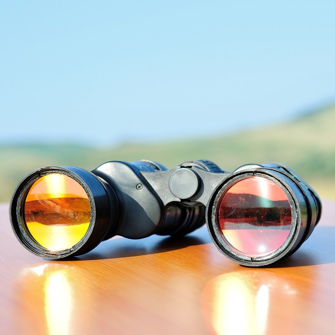 Firstlook Binoculars Square 664