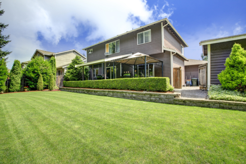 Auckland suburb report February 2023