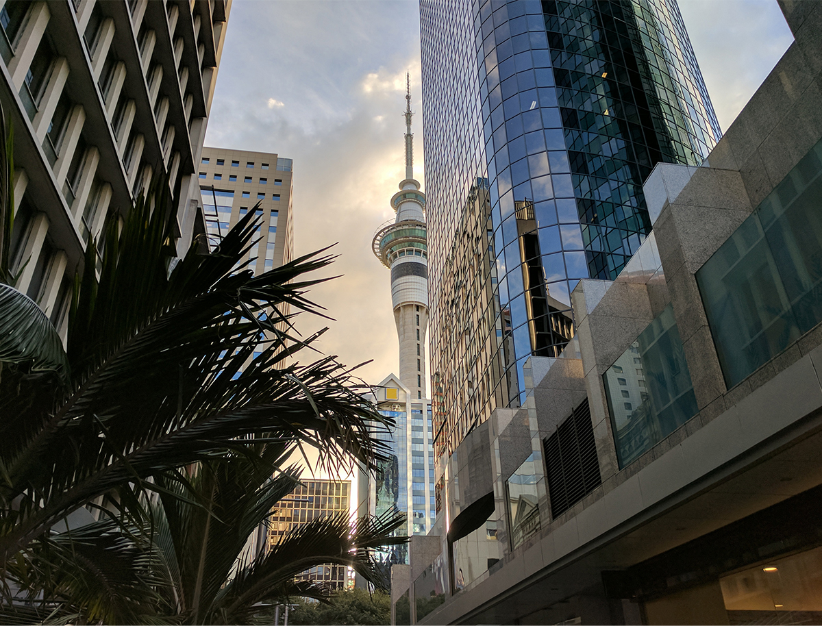 'Cautious optimism' lifting expectations in the property market