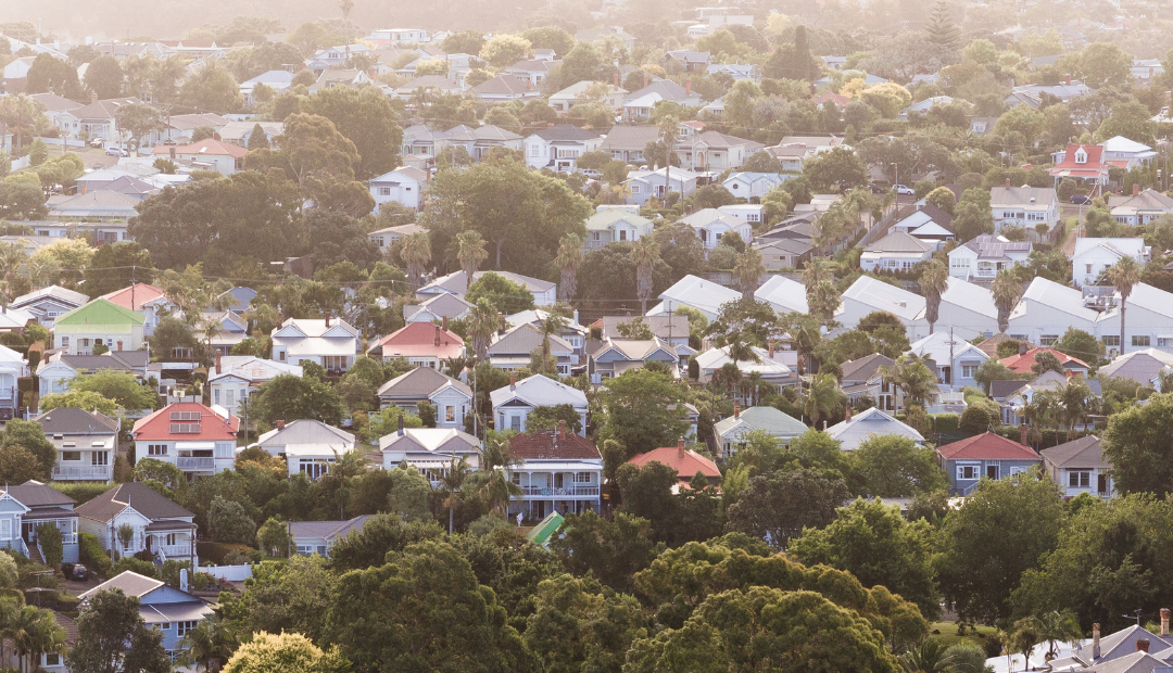 Don’t let new Auckland CVs shake your confidence...the market has moved on | Barfoot & Thompson June News