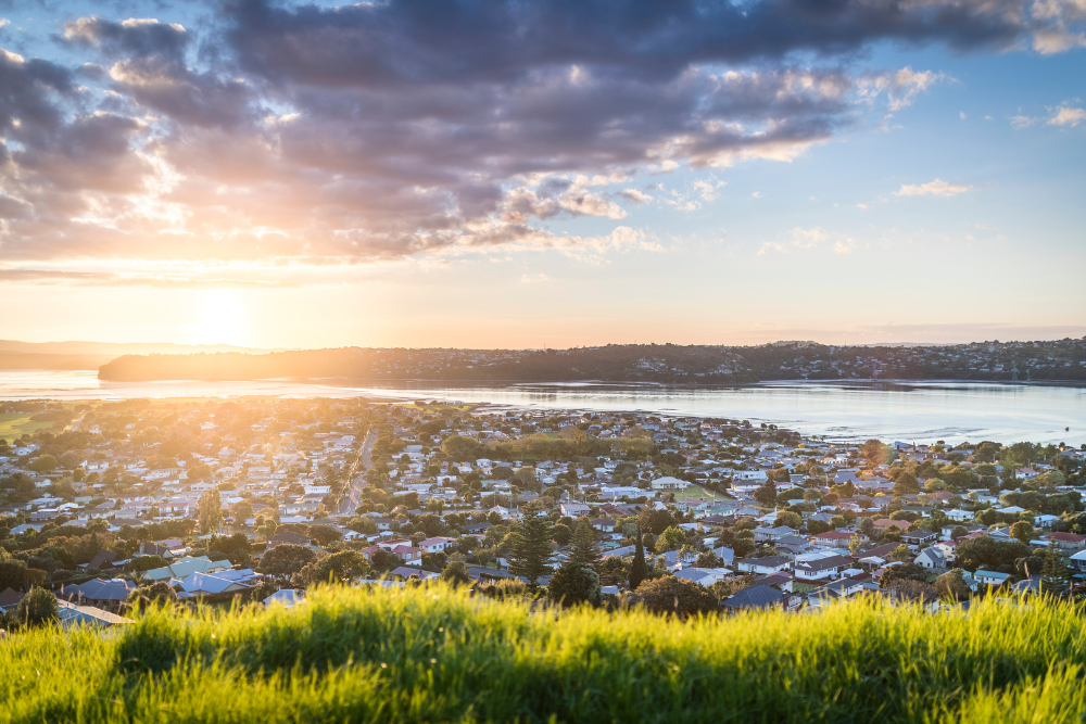 Healthy Homes: what it means for you