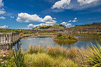 Suburb Spotlight : Stonefields
